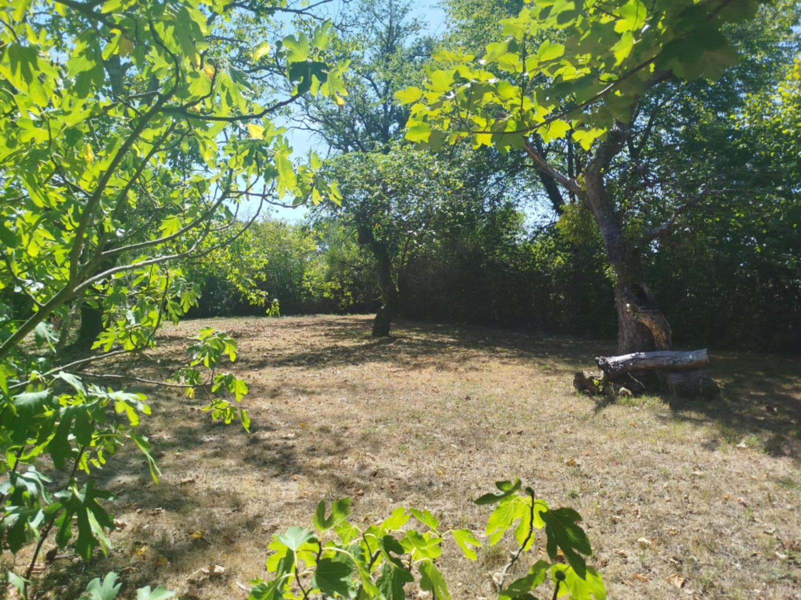 Image_11, Maison, Vichy, ref :121