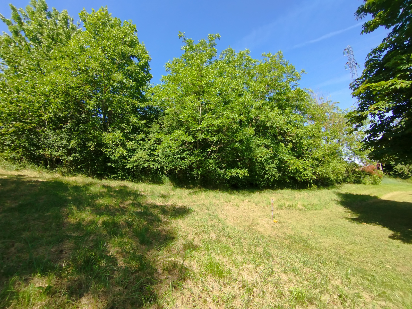 Image_4, Terrain, Cusset, ref :133