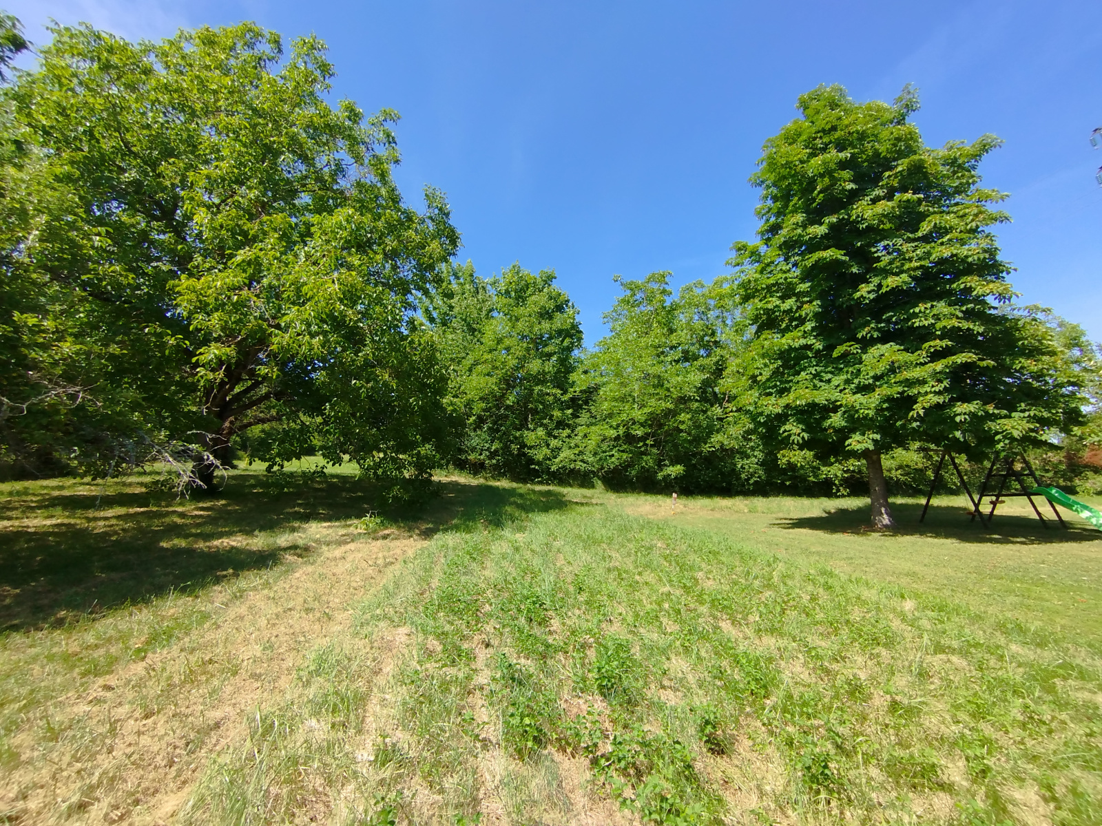 Image_3, Terrain, Cusset, ref :133