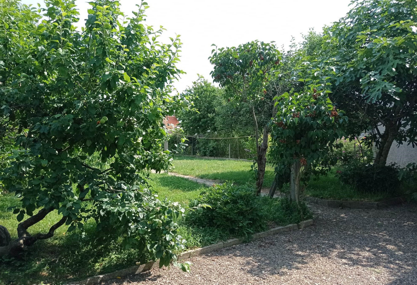 Image_14, Maison, Bellerive-sur-Allier, ref :26