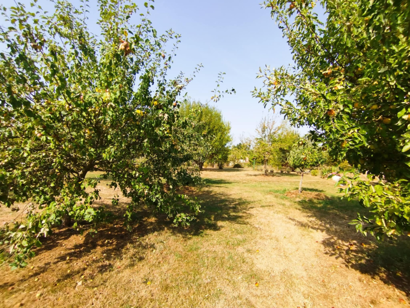 Image_16, Maison, Cusset, ref :140